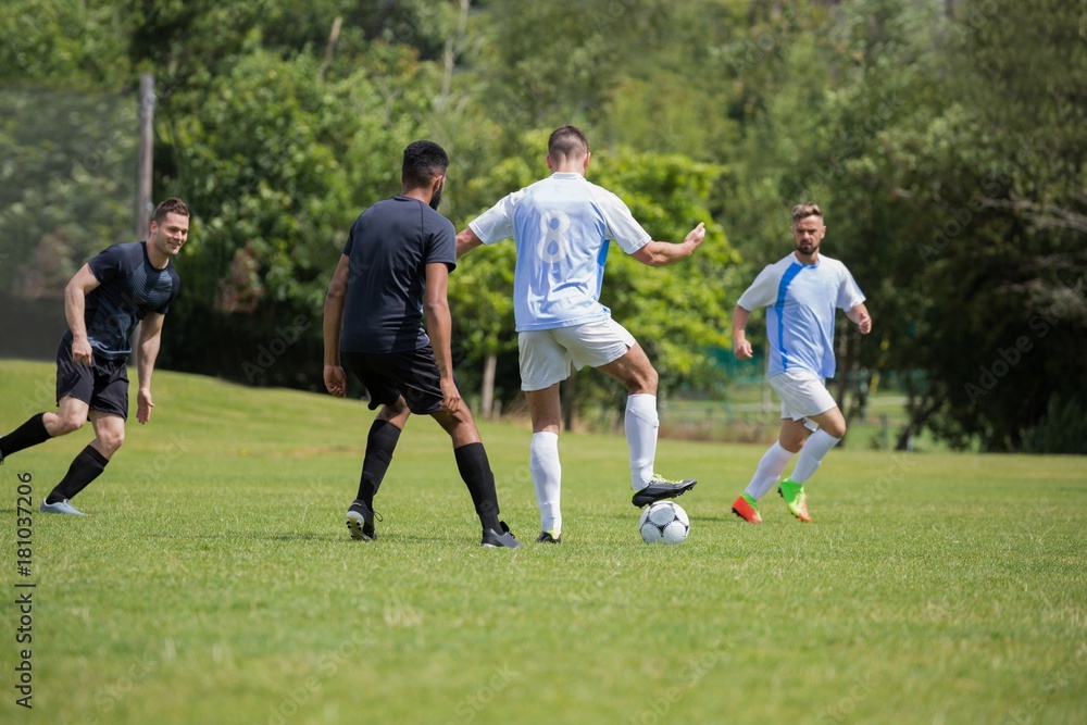 AdobeStock_181037206_Preview